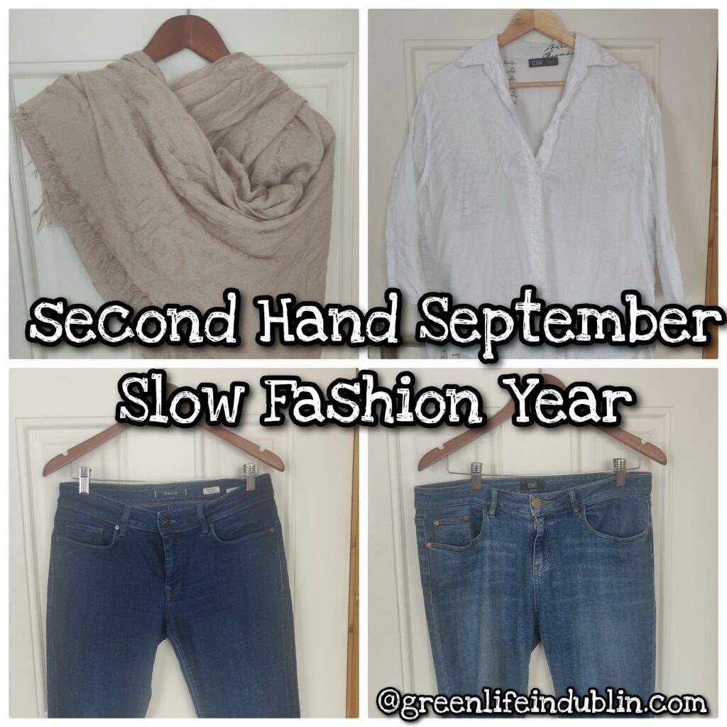 Second Hand September & Slow Fashion Year - Green Life In Dublin